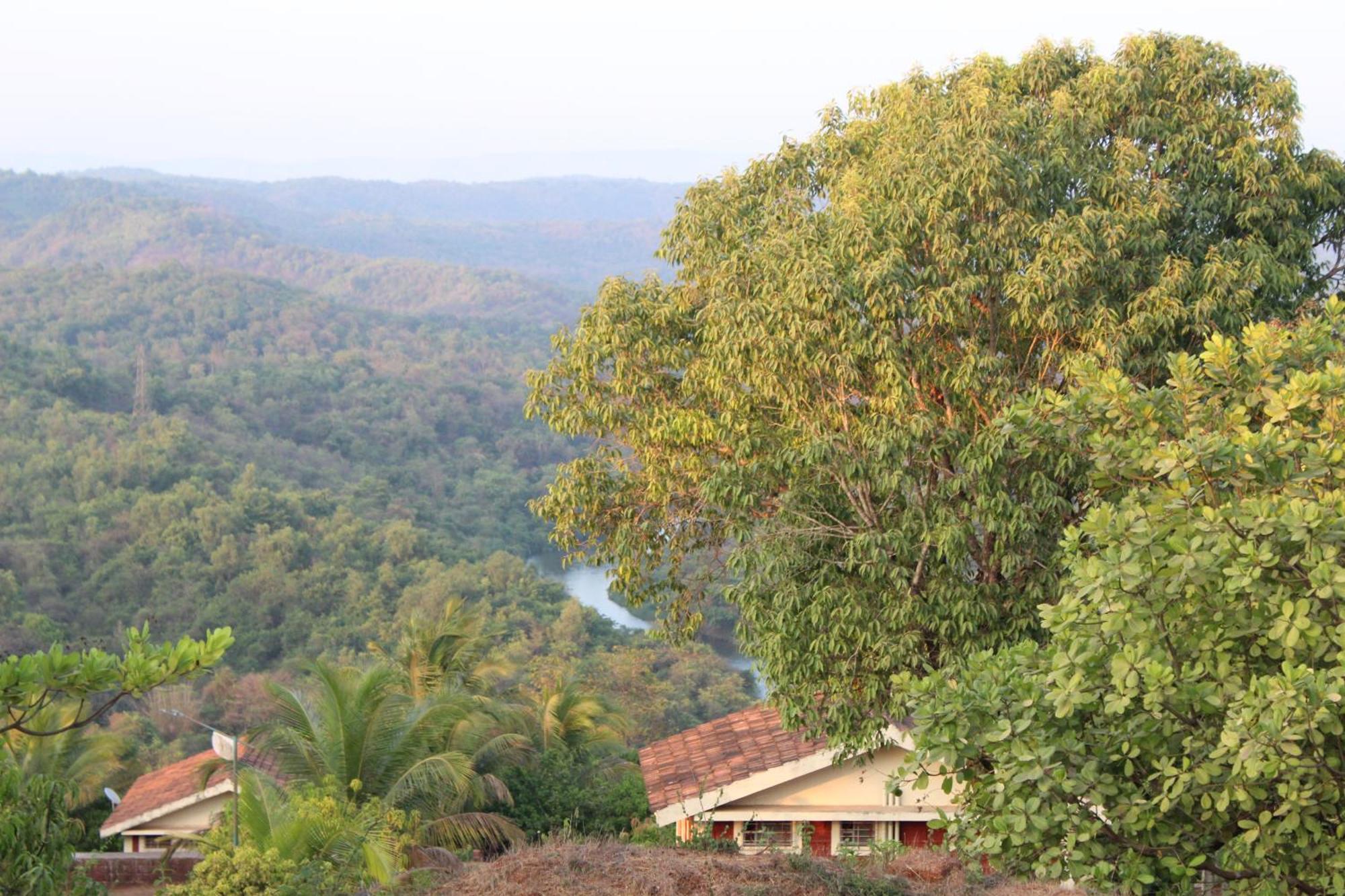 Bramhagiri *